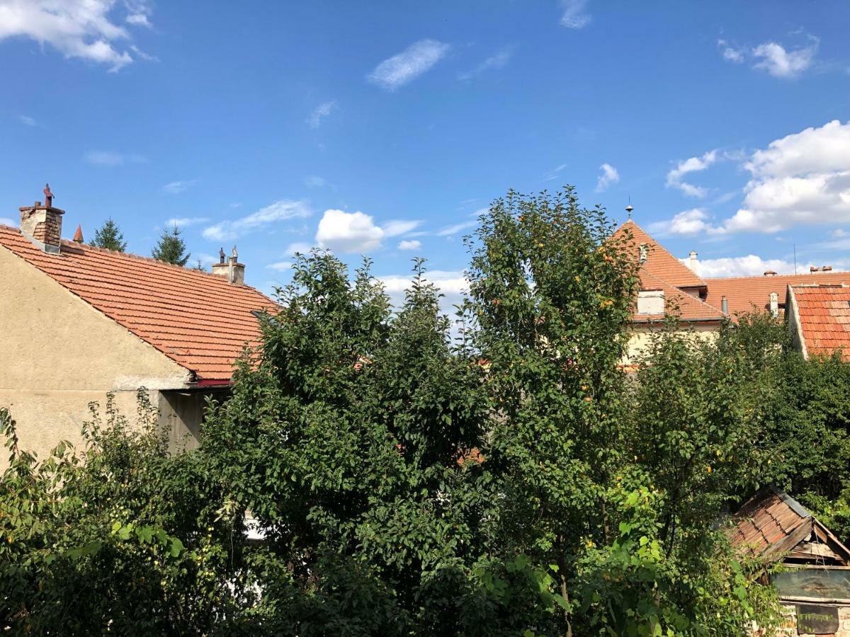 Schei Apartment 2 Брашов Екстериор снимка